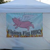 flying pig