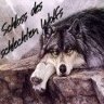 schlechtenwolf