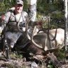 1bigelkhunter