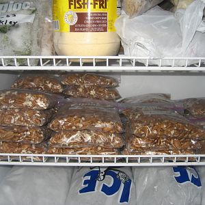 Pecans Freezer.JPG