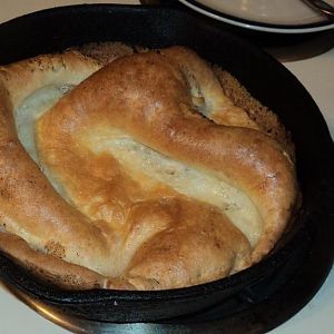 Yorkies_in_cast_iron_frypan.jpg