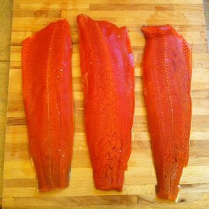 Sockeye.JPG