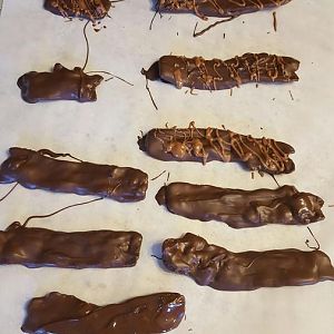 Chocolate covered bacon.jpg