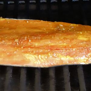 Salmon 3.jpg