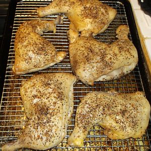 CHICKEN AGAIN 005.JPG