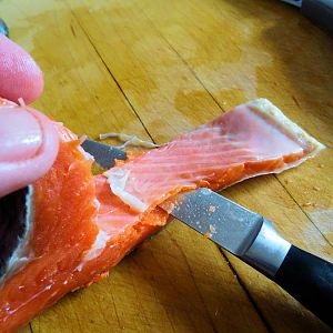 Salmon 01.jpg