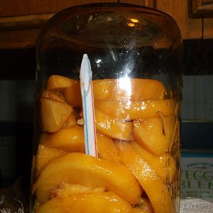 Peach Liqueur 002.JPG