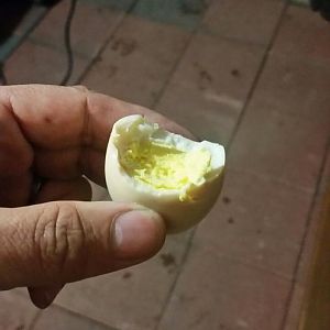 Pickled egg.jpg