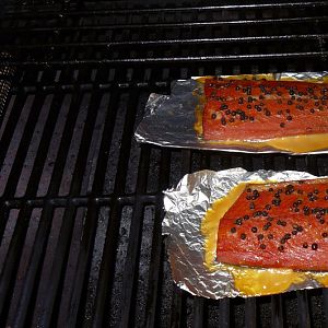 Peppered Salmon 1.jpg