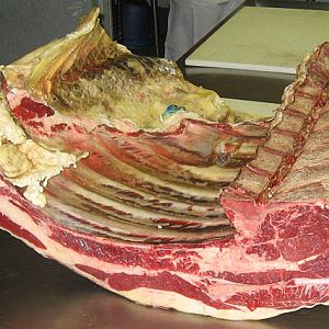 beef rib plate.jpg