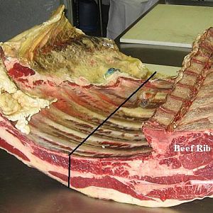 Beef rib plate section separated.jpg