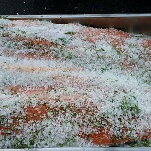 Salmon on racks.jpg