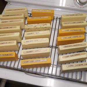 cheese11-21-12011.jpg