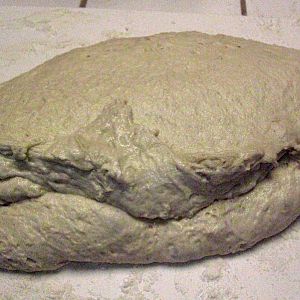 003 - Wet Fermented Dough.JPG