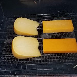 hicgouda.jpg