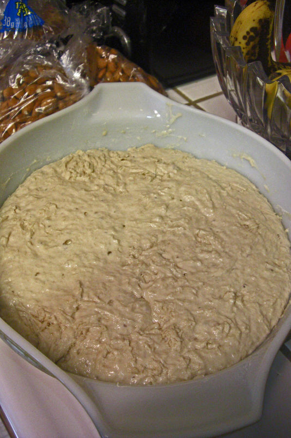 002 - 24 Hr Bulk Fermented Dough.JPG