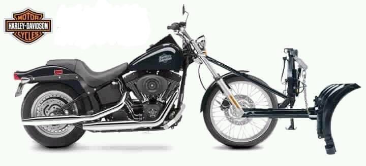 Canadian Harley.jpg