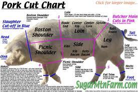 pork cuts.jpg