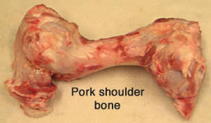 pork shoulder bone.jpg