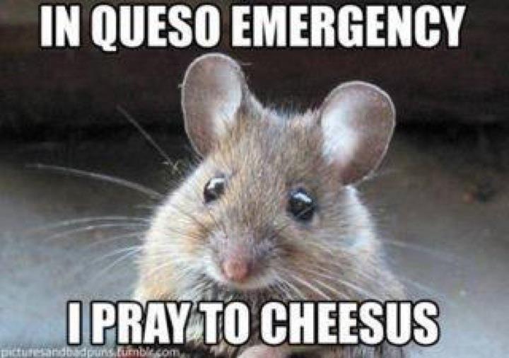 Pray to Cheesus.jpg