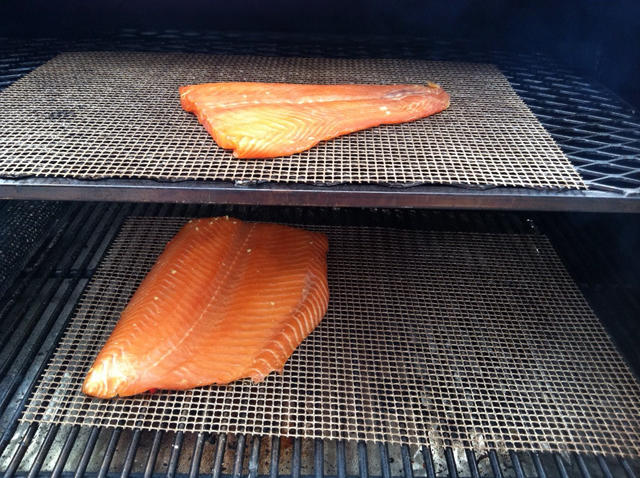 Salmon2.jpg