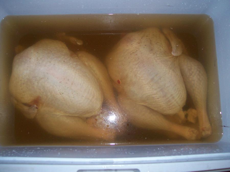 turkeys for work 001.jpg