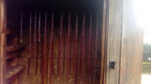 IMG_20170827_141714.jpg