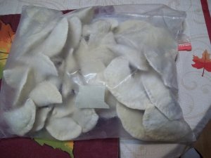 100_6134.JPG