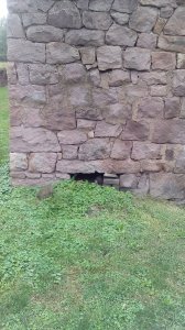 IMG_20171014_150538.jpg
