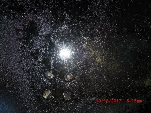 WSM Lid.JPG