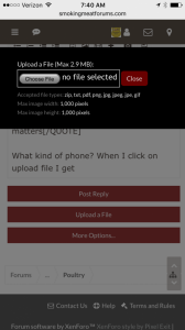 IMG_7929.PNG