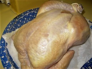 IMG_8325.JPG