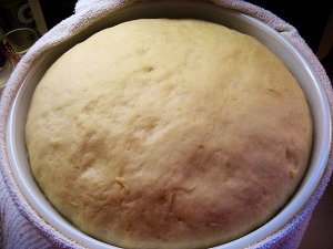 IMG_8315.JPG