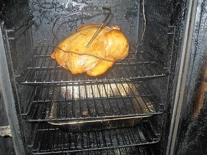 IMG_8330.JPG IMG_8330.JPG