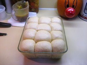 IMG_8332.JPG IMG_8332.JPG