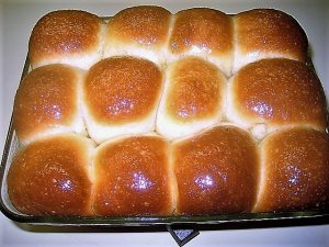 IMG_8343.JPG IMG_8343.JPG