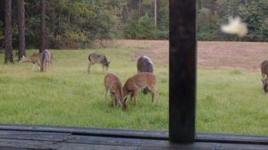 IMG_20171028_173533541.jpg