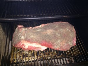 IMG_7858.JPG