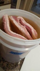 6-Into the Brine.jpg 6-Into the Brine.jpg