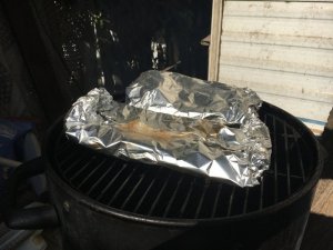 IMG_3665.JPG IMG_3665.JPG