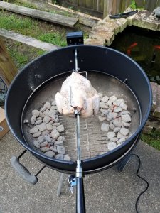 spin chick.jpg