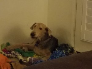 20171107_202717.jpg