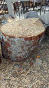 IMG_20171113_120707.jpg