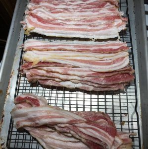 bacon 5.jpg