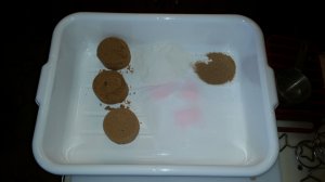 20171123_111706.JPG