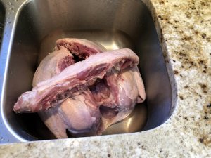 IMG_0177.jpg