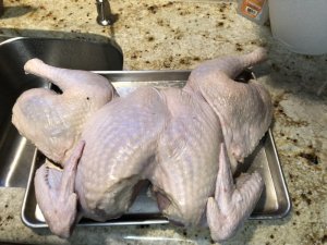 IMG_0178.JPG