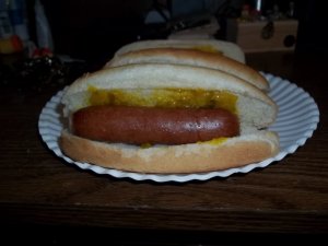 100_6676.JPG