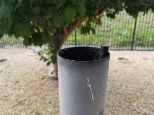 20171216_155331.jpg