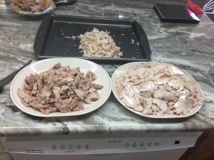 IMG_5090.JPG
